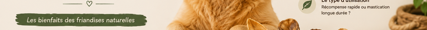 Comment choisir une friandise naturelle adaptée à son chien ?